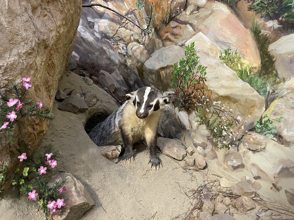 Prairie Nature Museum