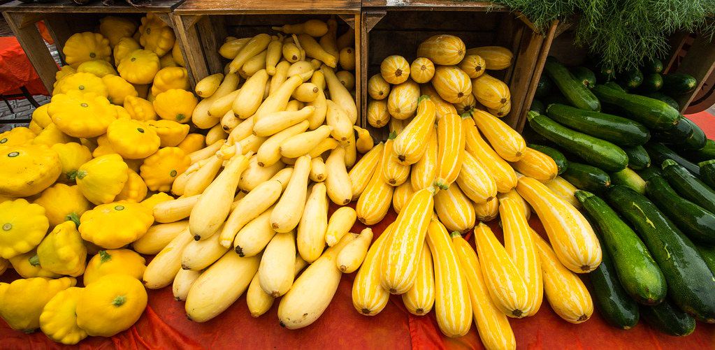 Summer Squash & Zucchini